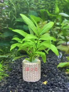 まーちん様 リクエスト 3点 まとめ商品