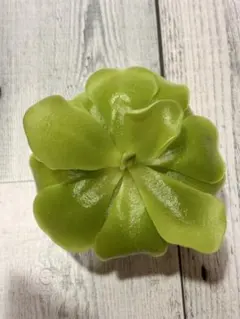 炊飯器様 リクエスト 2点 まとめ商品