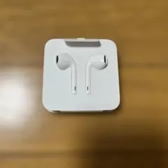 Apple EarPods with Lightning Connector