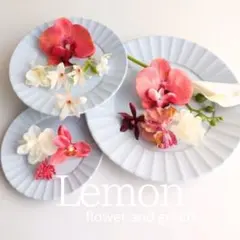 胡蝶蘭　カラー　コーラルレッド　ヘッドパーツ造花　アーティフィシャルフラワー