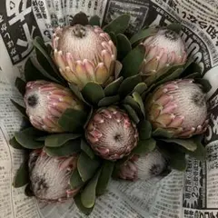 annn様 リクエスト 2点 まとめ商品