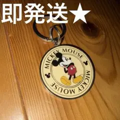 ミッキーマウス キーホルダー コイン ディズニー パーク レトロ ヴィンテージ