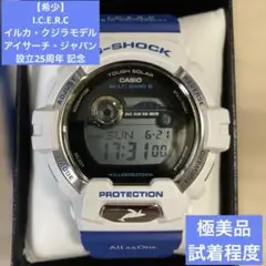 希少】GWX-8903K イルカ・クジラモデルアイサーチ・ジャパン25周年