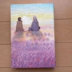 夜が明けたら、いちばんに君に会いにいく