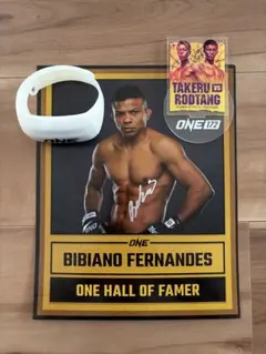 ONE Championship 비비아노 페르난데스 친필 사인