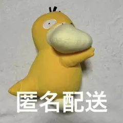 ポケモン コダック ぬいぐるみ ほぺぴた