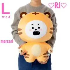 SEVENTEEN MINITEEN ぬいぐるみ 大 ディノ チャンダリ - メルカリ