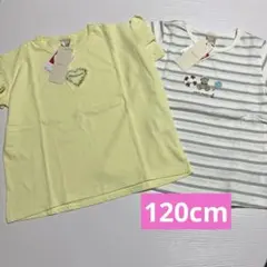 新品☆プティマイン☆Tシャツ2枚セット 120cm