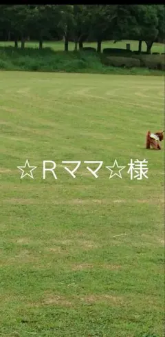 Item thumbnail for item ba6a9158-6db1-4641-bbfa-20d201db3d26