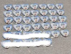 すとぷり ころんくん 7th ハナミライ 缶バッジ