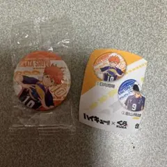 ハイキュー!! 缶バッジセット 日向翔陽