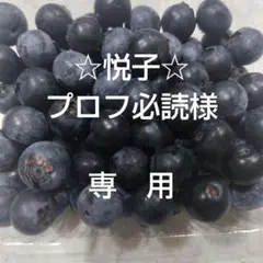 ブルーベリー500gのサムネイル
