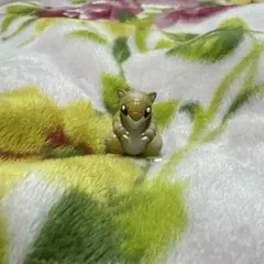 Item thumbnail for item cd10c814-bf63-43ec-b97d-15d993356c08