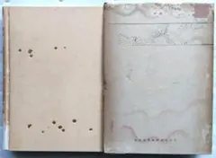 Item thumbnail for item 52c640ce-4d02-4a51-815e-c7dc2e6c9051