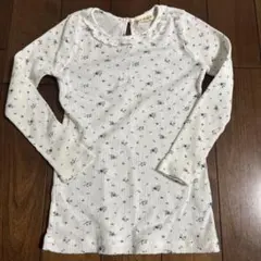 Item thumbnail for item 599ab8ae-b970-4d07-9989-2b6ec5eec1d1