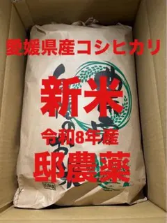 令和8年産　【コシヒカリ】　新米10キロ　農家直送　愛媛産　白米　来週から値上げのサムネイル
