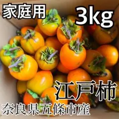 サムさん専用　甲州百目柿　20キロ 2025年最新】甲州百目柿の人気アイテム - メルカリ