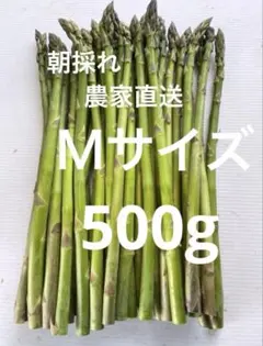 朝採れ　農家直送　アスパラ　アスパラガス　500gのサムネイル