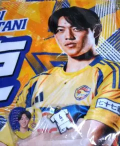 Item thumbnail for item 3e9bdaeb-30a0-41ff-88f3-eab81c79d267