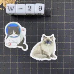 防水ステッカー　猫　ネコ　イラスト　かわいい　にゃんこ　2枚セット　w-29