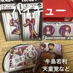 ハイキュー!! アクリルキーホルダー 缶バッジ ポストカードブック 集英社