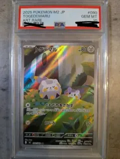 トゲデマル AR PSA10