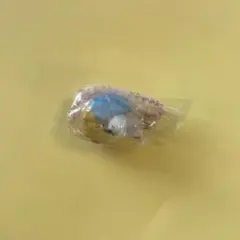 アフロ犬 サンエックスユニバース チャーム