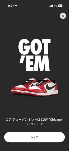 Nike Air Jordan 1 Retro Low OG Chicago