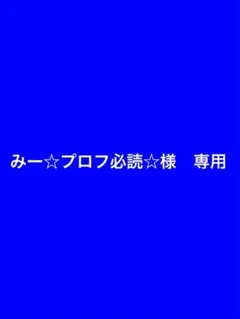 みー☆プロフ必読☆様　専用