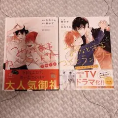 みなと商事コインランドリー ノベル