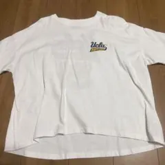 UCLA BRUINS 刺繍 Tシャツ ホワイト FREE