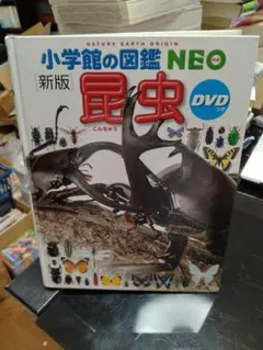 小学館の図鑑NEO 昆虫 新版 DVD付き　24時間以内に発送