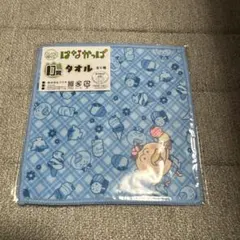 【新品未開封品】はなかっぱ キャラ福くじ タオル　D賞