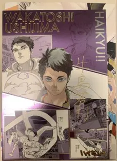 ☆ ハイキュー!!　ハイキュー展　箔押しイラストカード　牛島若利