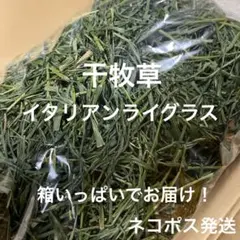 干牧草 イタリアンライグラス 箱いっぱい 詰め合わせのサムネイル