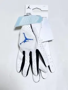 Item thumbnail for item c0b874c7-74ea-40a9-938a-654ca04baee4