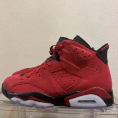 Nike Air Jordan 6 Retro 