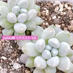 yukky様 リクエスト 2点 まとめ商品