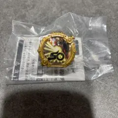 ゴジュウジャー スーパー戦隊　戦隊リング　プレゼント　コンプリート