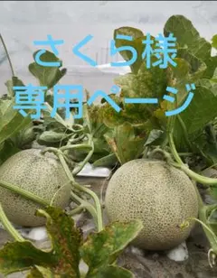 さくら様専用ページです