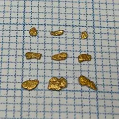 2026年最新】砂金の人気アイテム - メルカリ