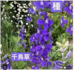 せつ様 リクエスト 2点 まとめ商品