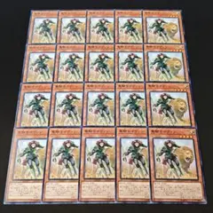 13980 遊戯王 聖騎士イヴァン 20枚セット