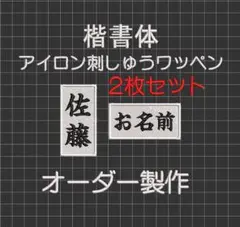 Item thumbnail for item 17dc67e2-5e18-4fcd-a52a-739007d8d5c3