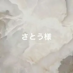 さとう様✳︎専用ページ