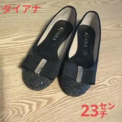 DIANA ブラック フラットシューズ