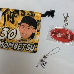 Item thumbnail for item 3a5a4845-8a97-4d2c-a3a4-c4ccdd9363cd