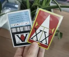 K最安値　ハンターハンター　ライセンスカード2枚　HUNTER×HUNTER