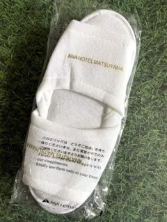 Item thumbnail for item 819e45e9-c21c-44c4-a021-fe5e022664b2