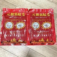 【新品未使用】　ダークエンジェル　元祖　裏起毛タイツ　ハイウエスト　2L〜3L